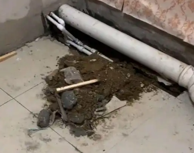 滦县卫生间漏水检测哪家好