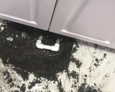 滦县查漏水哪家好